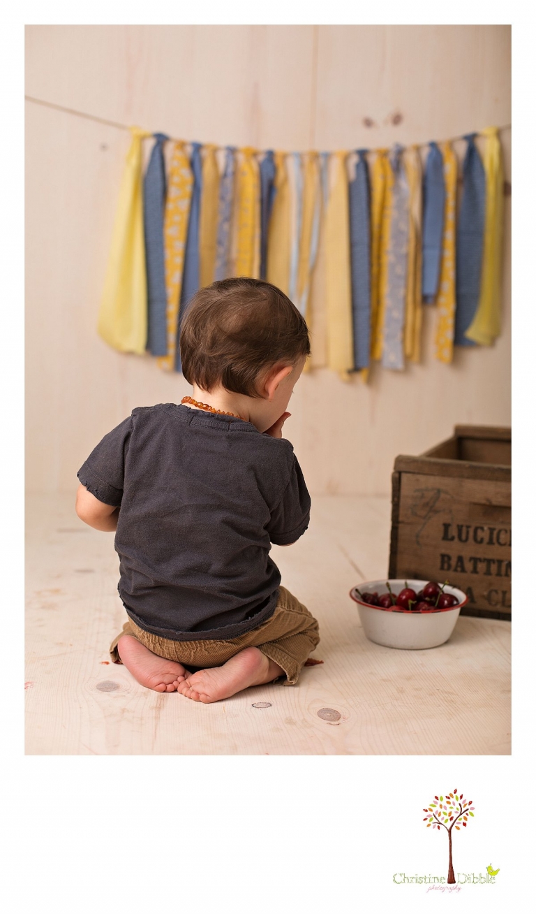 Sonora newborn and baby photographer Christine Dibble Photography takes photos of a baby boy for his first birthday with blues and yellows, fruit, and vintage crates and wash tubs.