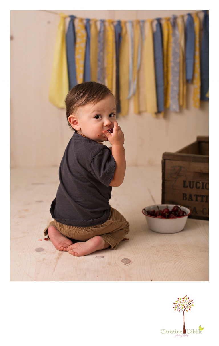 Sonora newborn and baby photographer Christine Dibble Photography takes photos of a baby boy for his first birthday with blues and yellows, fruit, and vintage crates and wash tubs.