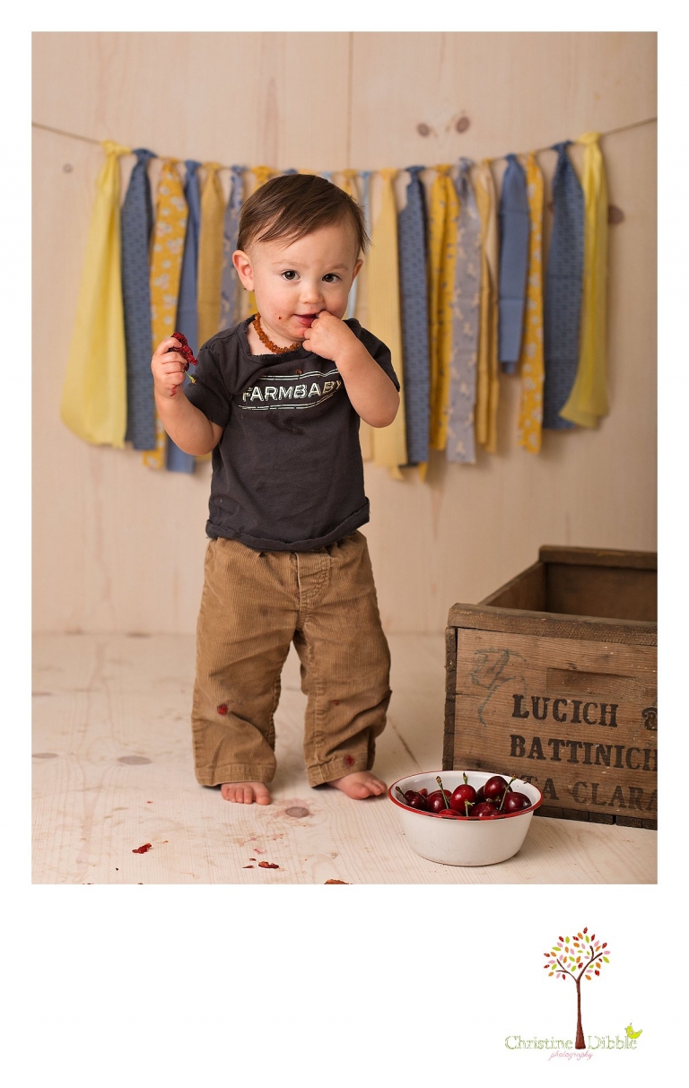 Sonora newborn and baby photographer Christine Dibble Photography takes photos of a baby boy for his first birthday with blues and yellows, fruit, and vintage crates and wash tubs.