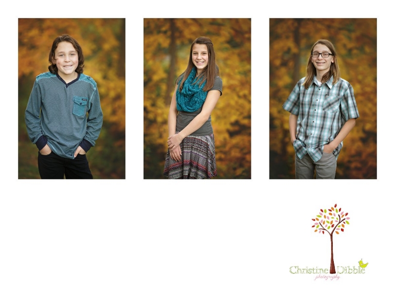 Sonora childrens photographer Christine Dibble Photography takes photos of siblings in front of fall colored leaves for their school photos.