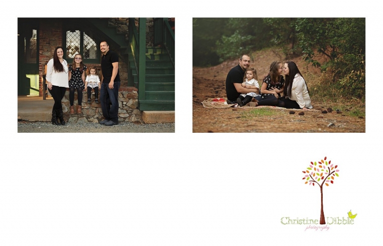 Sonora, CA Custom Portrait Photographer Christine Dibble Photography_2742.jpg