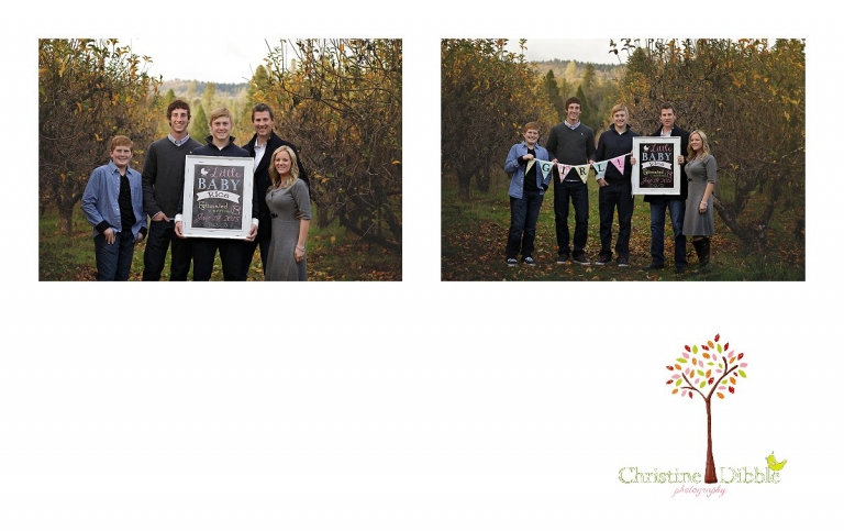 Sonora, CA Custom Portrait Photographer Christine Dibble Photography_2757.jpg