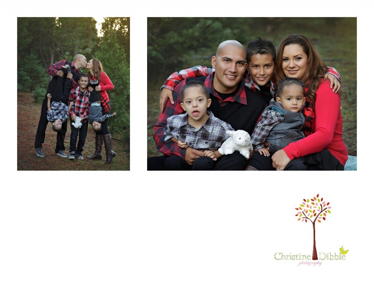 Sonora, CA Custom Portrait Photographer Christine Dibble Photography_2762.jpg