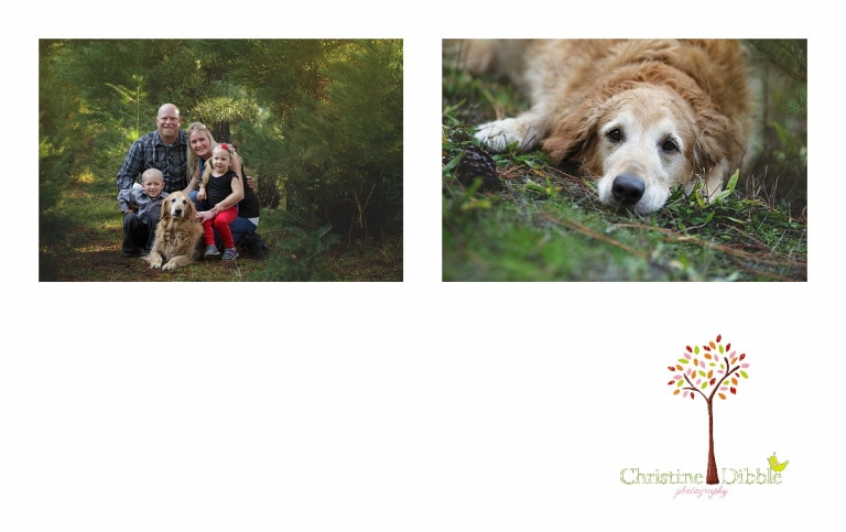 Sonora, CA Custom Portrait Photographer Christine Dibble Photography_2769.jpg