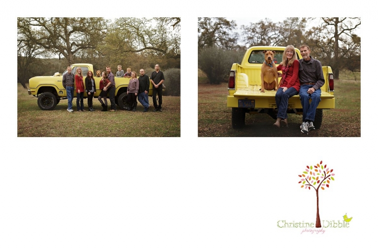 Sonora, CA Custom Portrait Photographer Christine Dibble Photography_2773.jpg