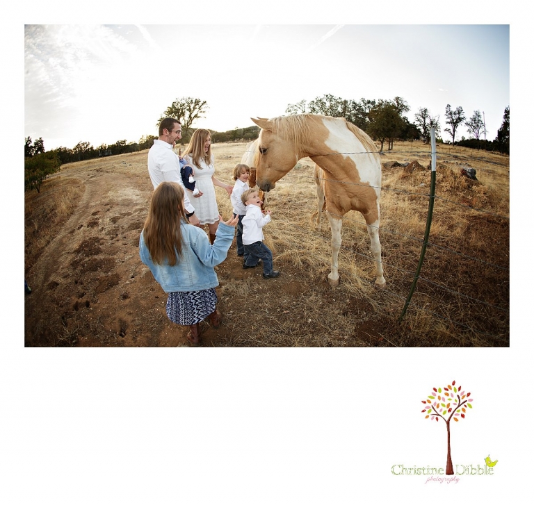 Sonora, CA Custom Portrait Photographer Christine Dibble Photography_2776.jpg