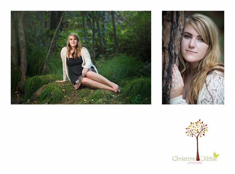 Sonora, CA Custom Portrait Photographer Christine Dibble Photography_2802.jpg