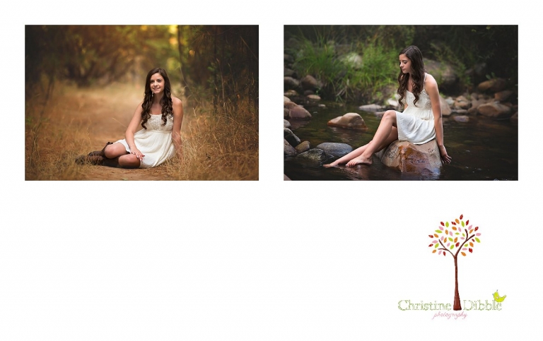 Sonora, CA Custom Portrait Photographer Christine Dibble Photography_2805.jpg