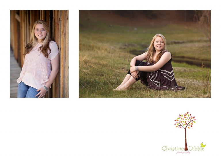 Sonora, CA Custom Portrait Photographer Christine Dibble Photography_2807.jpg