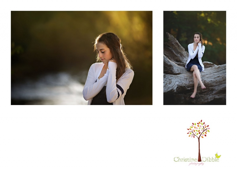 Sonora, CA Custom Portrait Photographer Christine Dibble Photography_2814.jpg