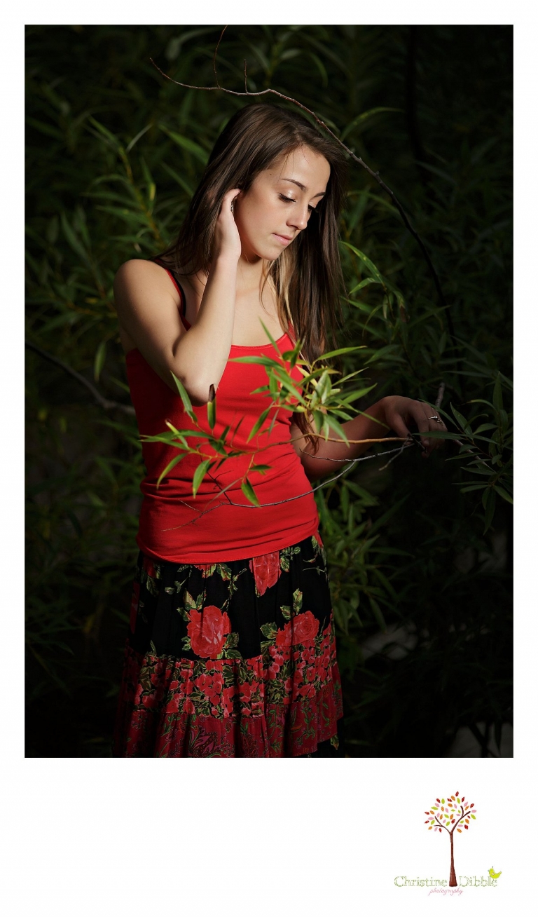 Sonora, CA Custom Portrait Photographer Christine Dibble Photography_2816.jpg