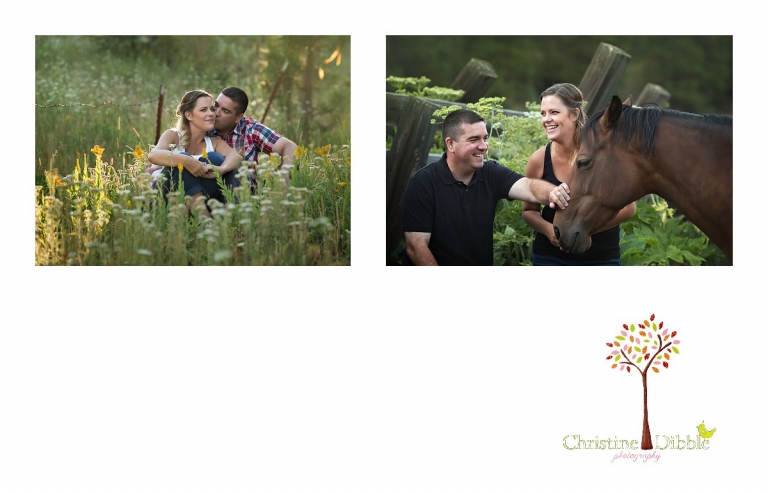 Sonora, CA Custom Portrait Photographer Christine Dibble Photography_2827.jpg