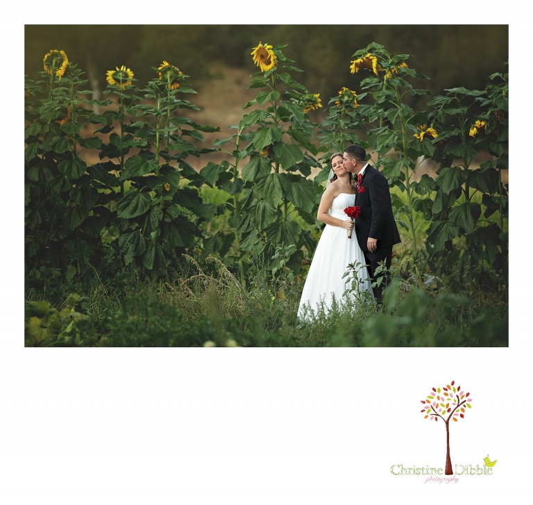 Sonora, CA Custom Portrait Photographer Christine Dibble Photography_2829.jpg