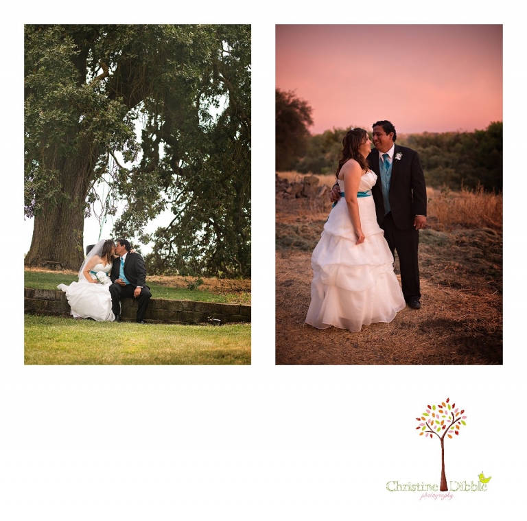Sonora, CA Custom Portrait Photographer Christine Dibble Photography_2833.jpg
