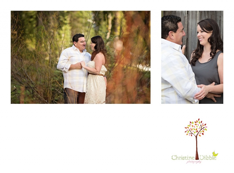 Sonora, CA Custom Portrait Photographer Christine Dibble Photography_2834.jpg
