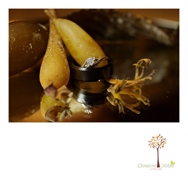 Sonora, CA Custom Portrait Photographer Christine Dibble Photography_2841.jpg