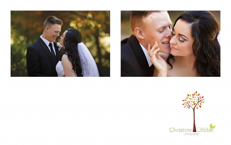 Sonora, CA Custom Portrait Photographer Christine Dibble Photography_2849.jpg