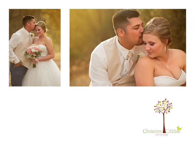 Sonora, CA Custom Portrait Photographer Christine Dibble Photography_2855.jpg