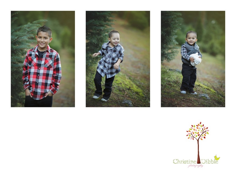 Sonora childrens photographer Christine Dibble Photography takes photos of three brothers at Twain Harte Tree Farm during mini sessions.