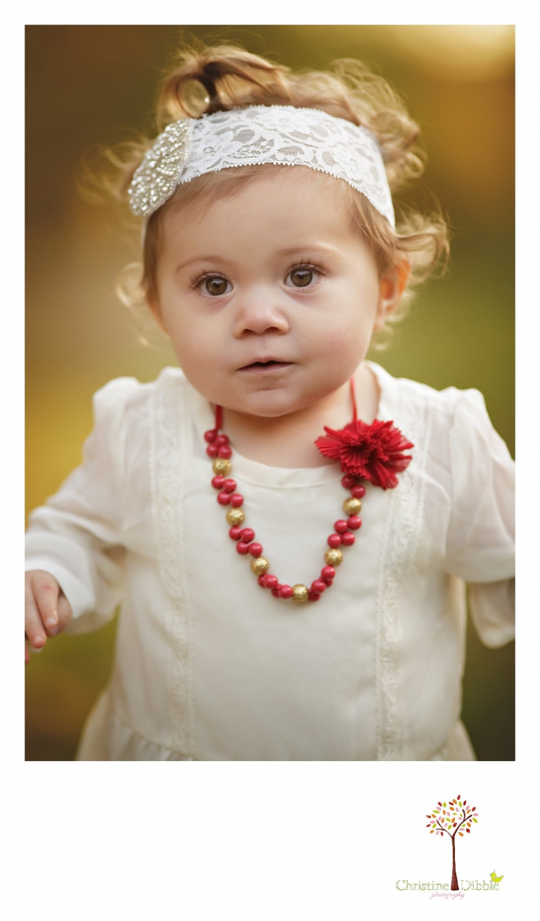 A head shot of a one year old baby girl is taken during a Sonora family photography session photographed by Christine Dibble Photography at Indigeny Reserve in the fall among the apple orchards.