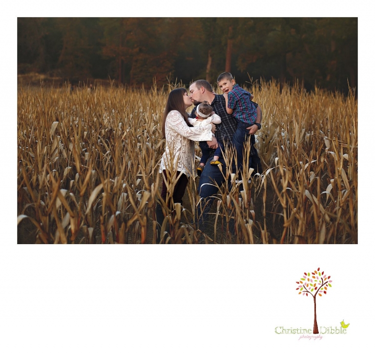 Mom and dad kiss in a corn field  while their kids react during a Sonora family photography session photographed by Christine Dibble Photography at Indigeny Reserve in the fall among the apple orchards.