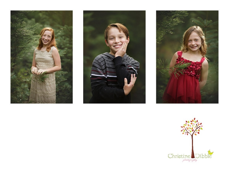Sonora childrens photographer Christine Dibble Photography takes photos of three siblings among the Christmas trees at Twain Harte Tree Farm during December mini sessions.