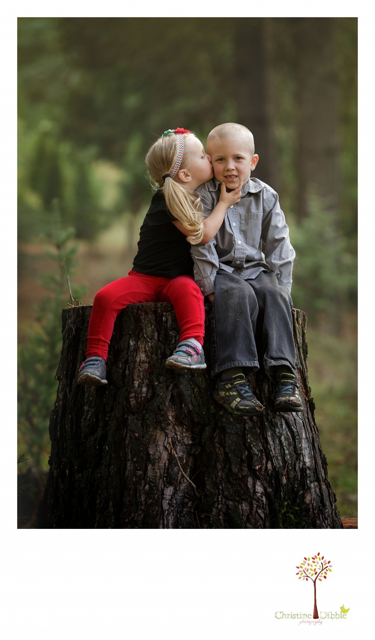 Sonora childrens photographer Christine Dibble Photography takes photos of a sister kissing her brother at Twain Harte Tree Farm.