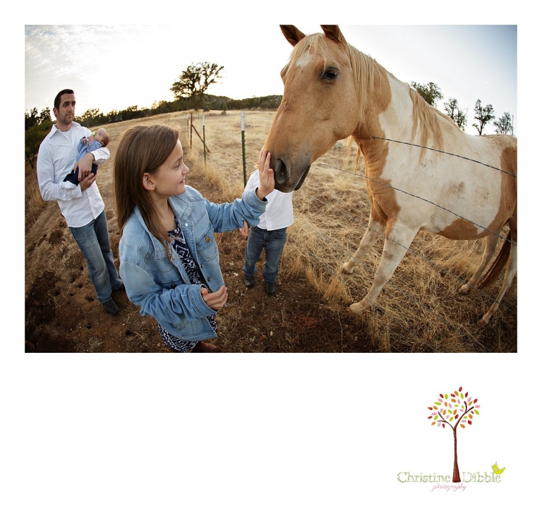 Sonora and Murphys family photographer  Christine Dibble Photography takes photos of a family feeding treats to horses during a Murphys family photography session.