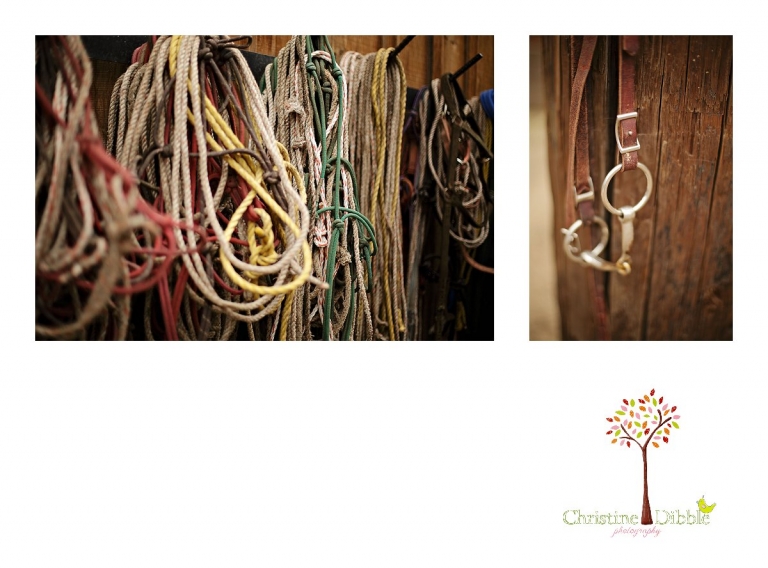 Sonora Photographer_9125 jp.jpg