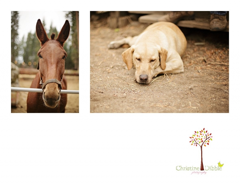 Sonora Photographer_9136 jp.jpg