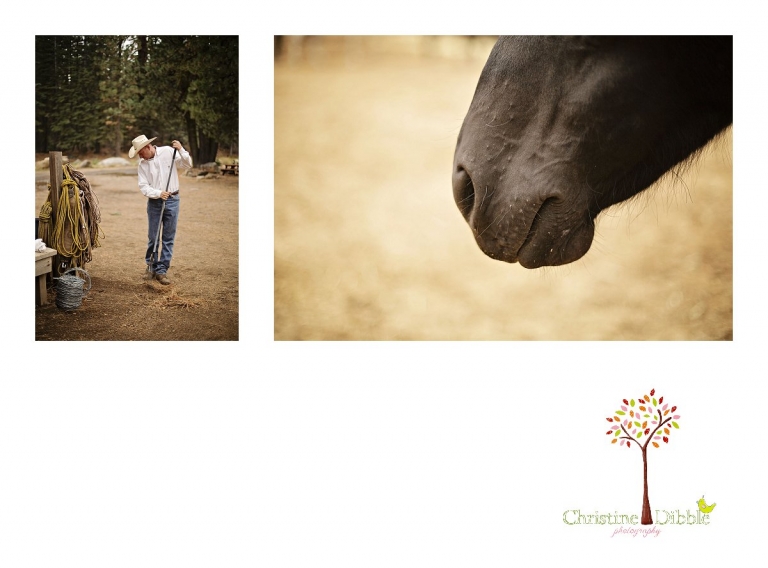 A cowboy rakes manure and a horse looks on at Aspen Meadows Pack Station photographed by Christine Dibble Photography.