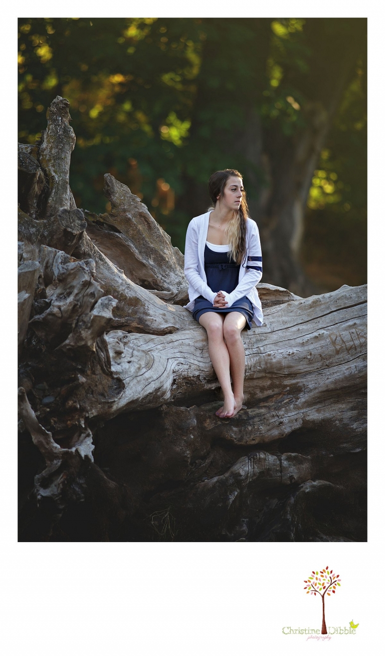Sonora and Summerville senior portrait photographer Christine Dibble Photography takes outdoor photos of a senior girl sitting on a tree in the water during golden hour on the banks of the river at Knights Ferry.