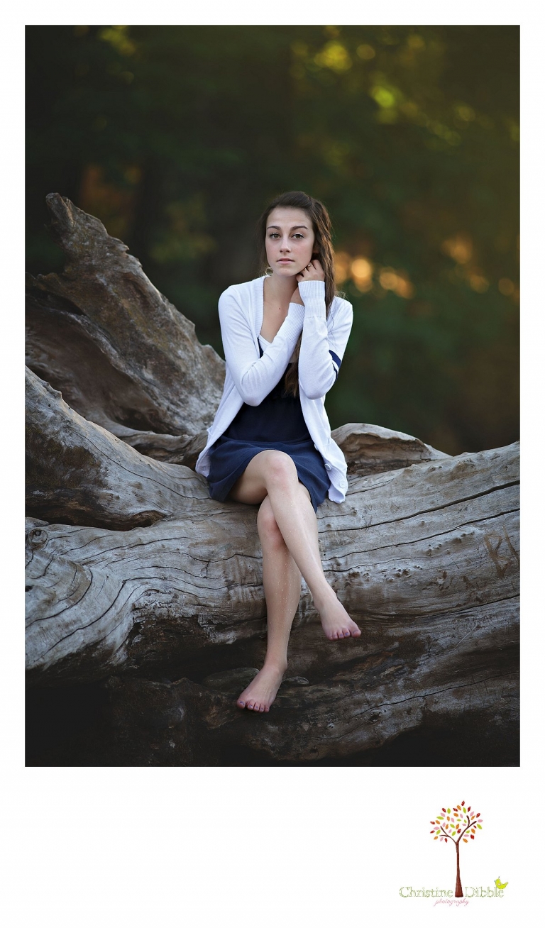 Sonora and Summerville senior portrait photographer Christine Dibble Photography takes outdoor photos of a senior girl during golden hour on the trunk of a tree in the middle of the river at Knights Ferry.