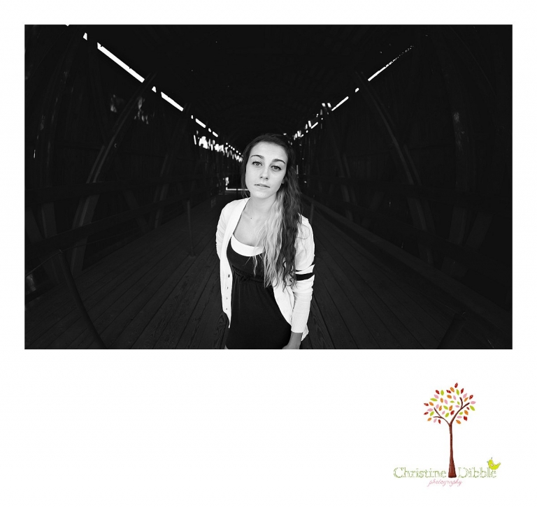 Sonora and Summerville senior portrait photographer Christine Dibble Photography takes outdoor photos of a senior girl during golden hour on the covered bridge at Knights Ferry.