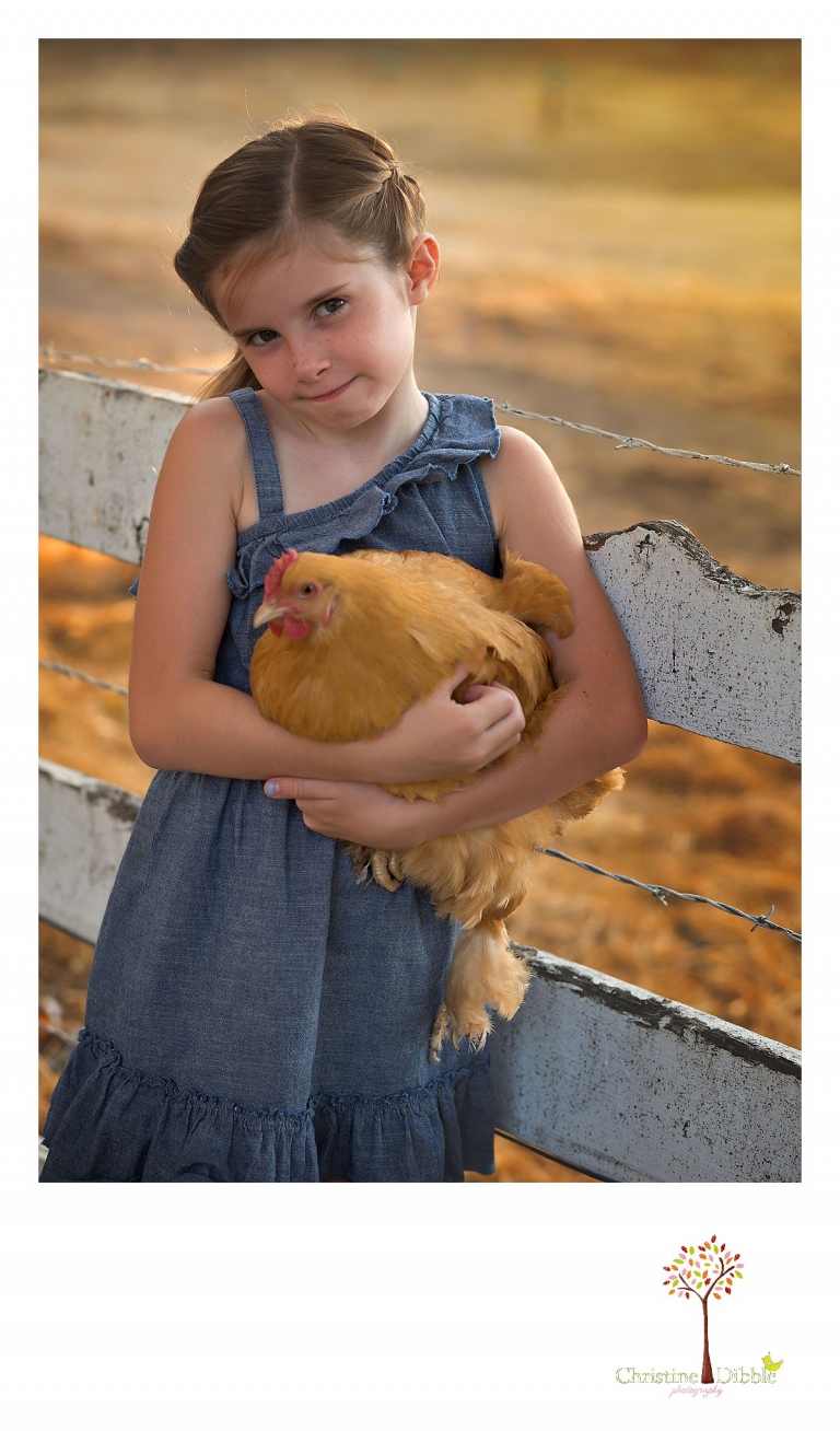 Sonora childrens photographer Christine Dibble Photography takes photos of a girl and her favorite chicken.