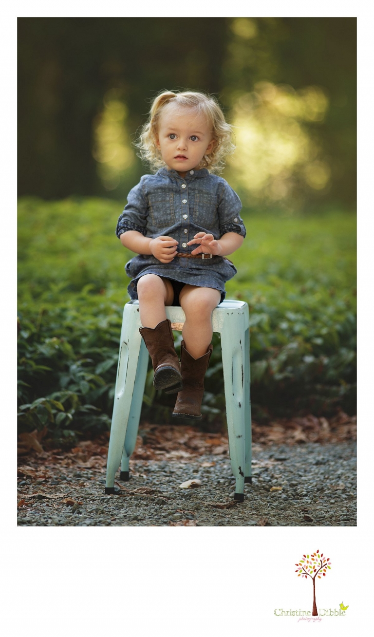 Sonora photography by Christine Dibble Photography captures photos of a little girl during mini sessions at Empire Mine State Park in Grass Valley.