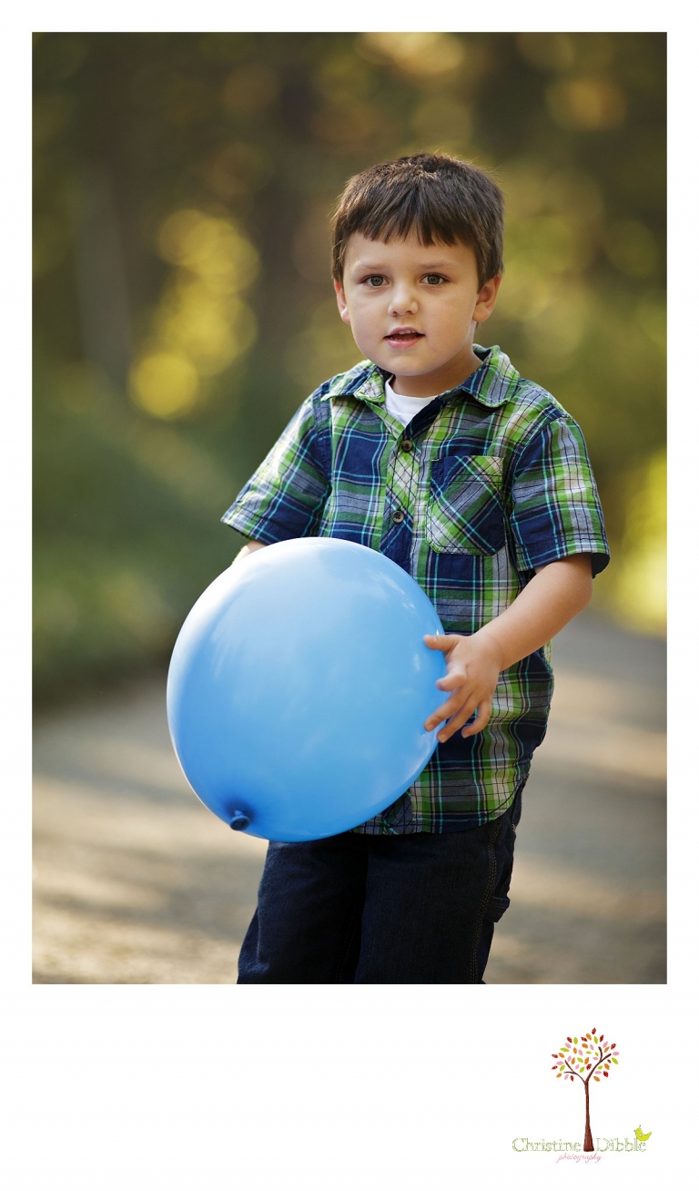 Sonora photography by Christine Dibble Photography captures photos of a little boy during mini sessions at Empire Mine State Park in Grass Valley.