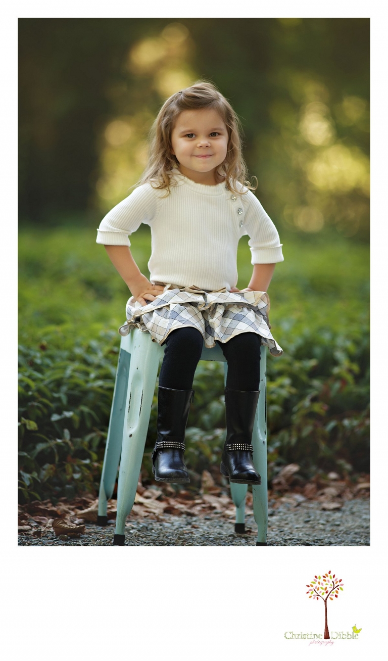 Sonora photography by Christine Dibble Photography captures photos of a little girl alone during mini sessions at Empire Mine State Park in Grass Valley.