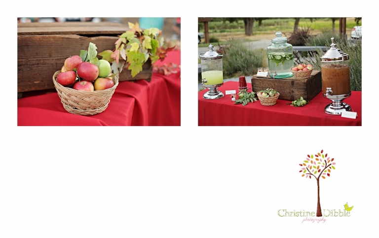 Christine Dibble Photography of Sonora photographs the beautiful fall-inspired decor including apples, baskets, leaves, antique boxes and spiced tea on the food and drink tables at an Indigeny Reserve wedding reception.