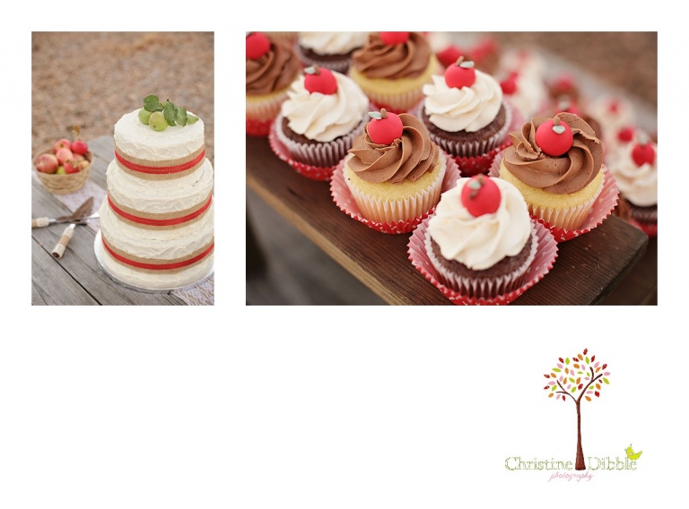Christine Dibble Photography of Sonora photographs the wedding cake decorated with miniature fondant apples at an Indigeny Reserve wedding.