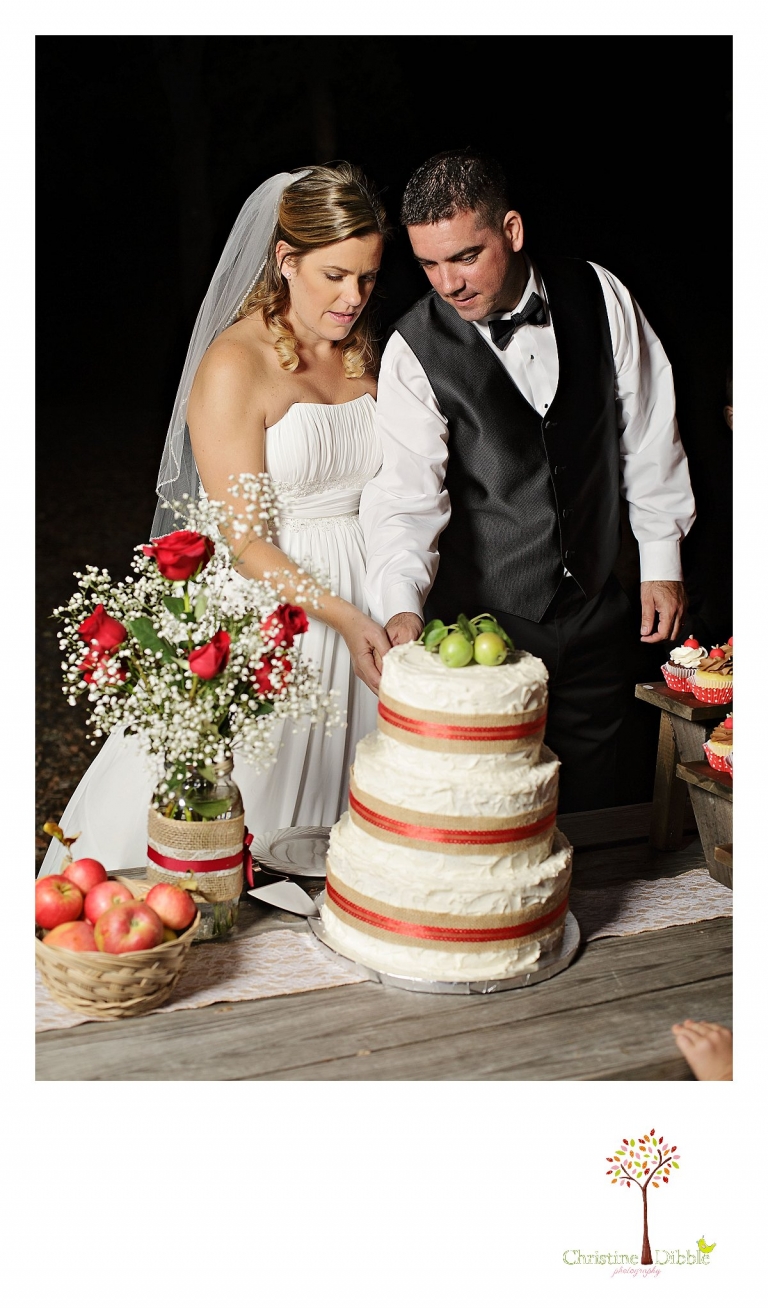 Christine Dibble Photography of Sonora photographs the bride and groom as they cut their wedding cake during the reception after their Indigeny Reserve wedding.