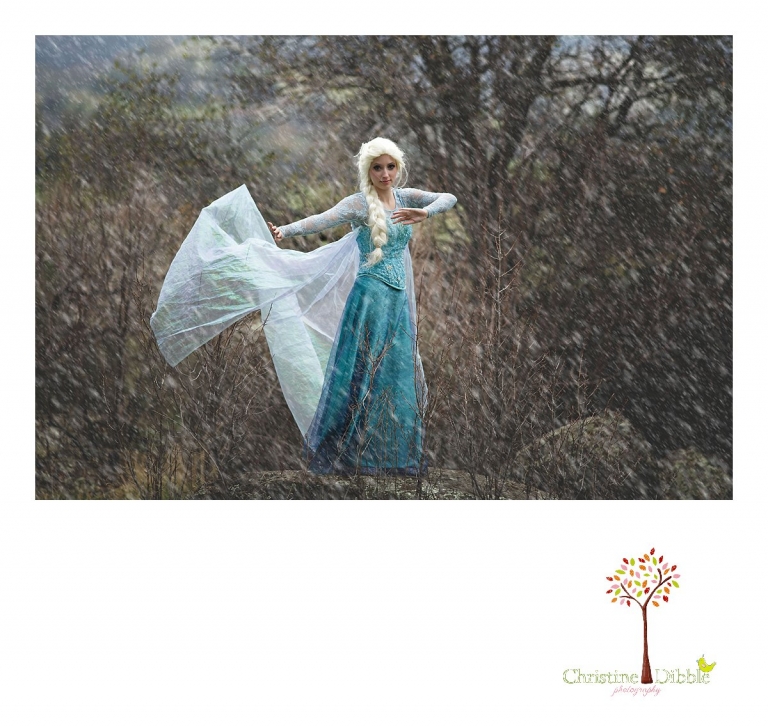Sonora Elsa photographer Christine Dibble Photography photographs the beautiful princess Elsa as she stands in a snowstorm.