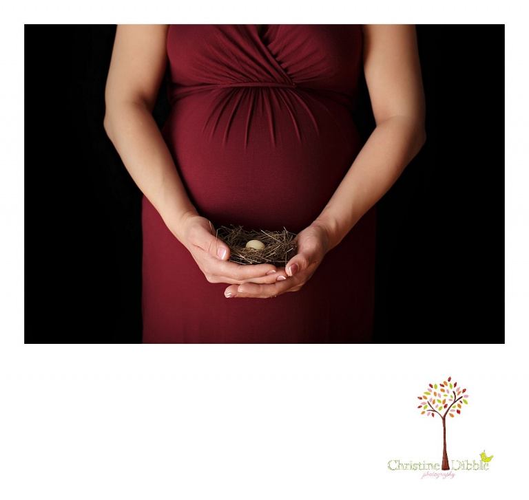 Sonora Maternity Photographer Christine Dibble Photography takes indoor photos during a maternity photography session showing the baby belly bump in dramatic lighting and a beautiful red dress.