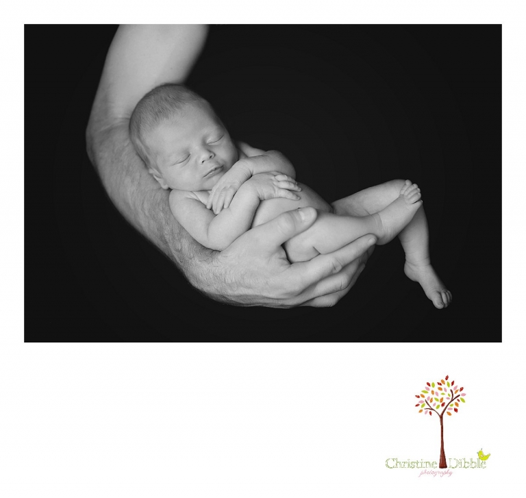 Best Sonora newborn photography by Christine Dibble Photography includes newborn portraits of a baby boy cradled in his dad's arm.