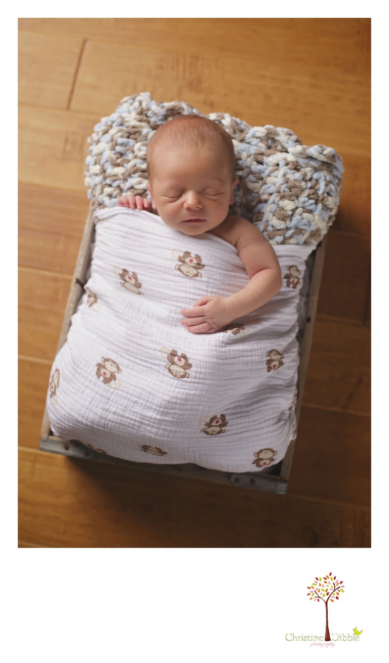 Best Sonora newborn photography by Christine Dibble Photography includes newborn portraits of a baby boy in an antique wooden box used as a miniature bed.