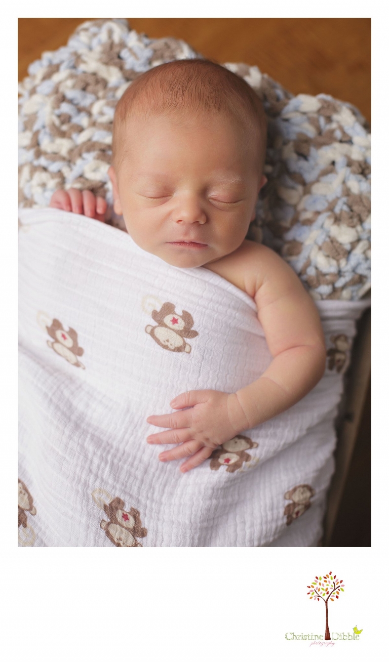 Best Sonora newborn photography by Christine Dibble Photography includes newborn portraits of a baby boy as he sleeps in an antique wooden box.