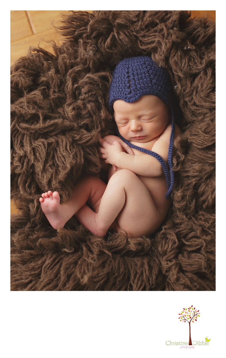 Best Sonora newborn photography by Christine Dibble Photography includes newborn portraits of a baby boy wearing a knit cap and sleeping in a chocolate brown flokati rug.