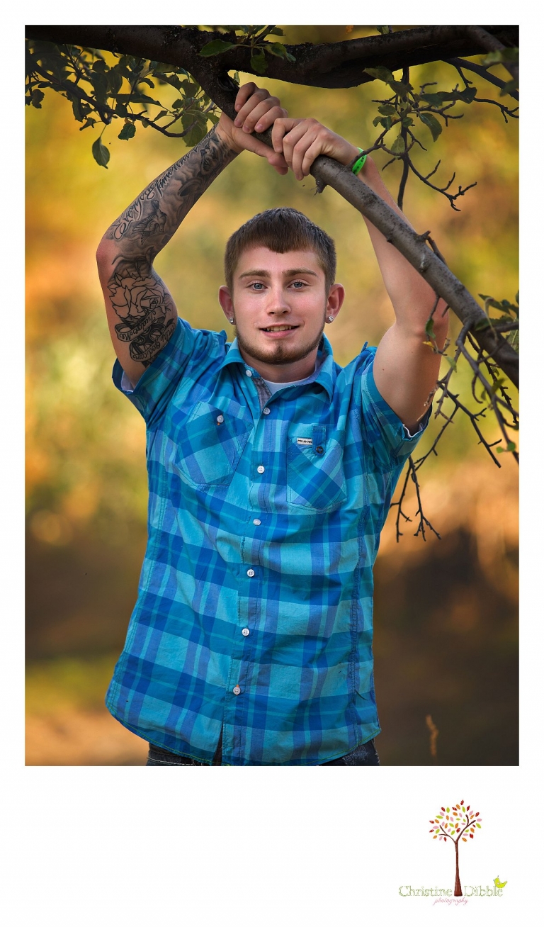 Sonora, Summerville and Turlock senior portrait photographer Christine Dibble Photography takes outdoor senior photos of a senior boy with blue eyes and sleeve tattoos holding onto an apple tree in a field.