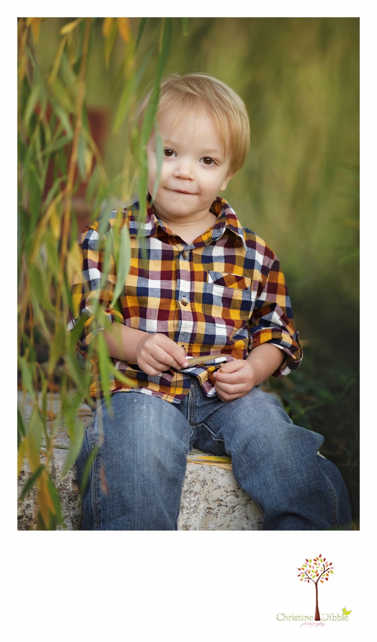 Best Sonora family photographer Christine Dibble Photography captures a little boy in a portrait during an outdoor session.