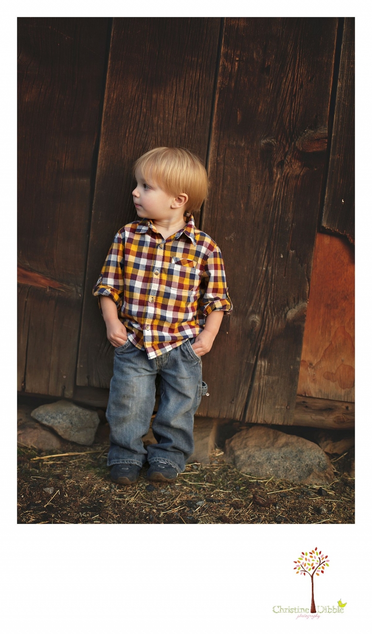 Best Sonora family photographer Christine Dibble Photography photographs a portrait of a toddler little boy with hands in pockets in front of a barn.